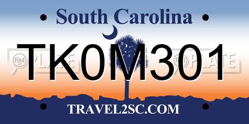 TK0M301 South Carolina License Plate