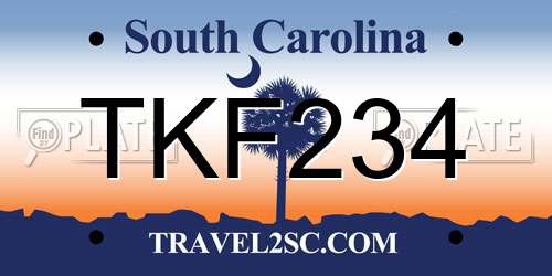 TKF234 South Carolina License Plate