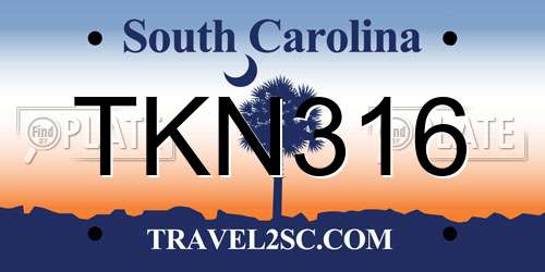 TKN316 South Carolina License Plate