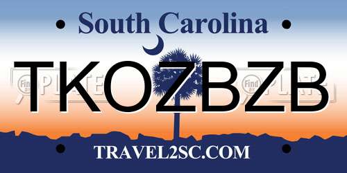 TKOZBZB South Carolina License Plate