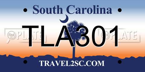TLA301 South Carolina License Plate