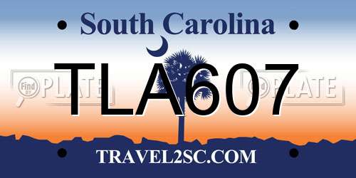 TLA607 South Carolina License Plate