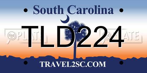 TLD224 South Carolina License Plate