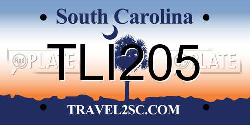 TLI205 South Carolina License Plate