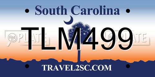 TLM499 South Carolina License Plate