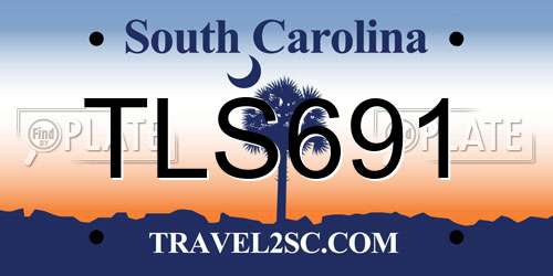 TLS691 South Carolina License Plate