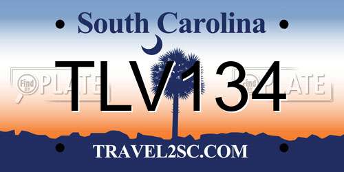 TLV134 South Carolina License Plate