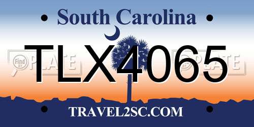 TLX4065 South Carolina License Plate