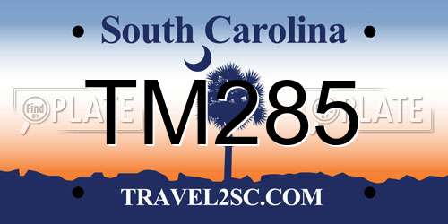 TM285 South Carolina License Plate