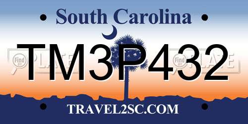 TM3P432 South Carolina License Plate