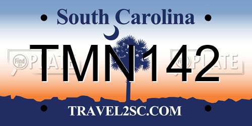 TMN142 South Carolina License Plate