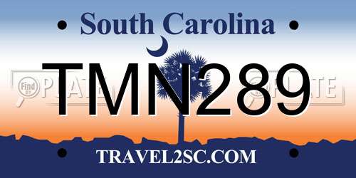 TMN289 South Carolina License Plate