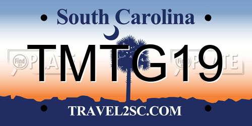 TMTG19 South Carolina License Plate