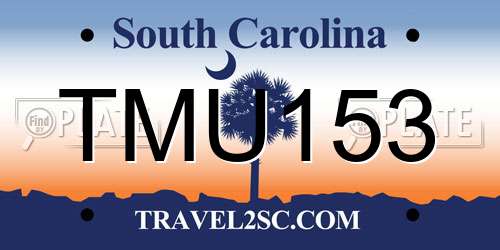 TMU153 South Carolina License Plate