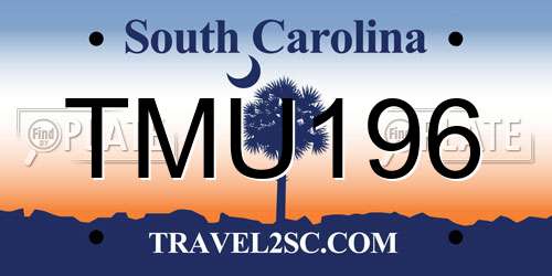 TMU196 South Carolina License Plate