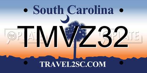 TMVZ32 South Carolina License Plate