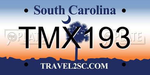 TMX193 South Carolina License Plate