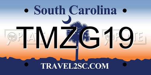 TMZG19 South Carolina License Plate