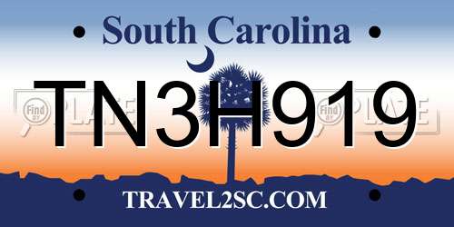 TN3H919 South Carolina License Plate