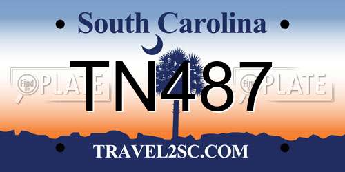 TN487 South Carolina License Plate