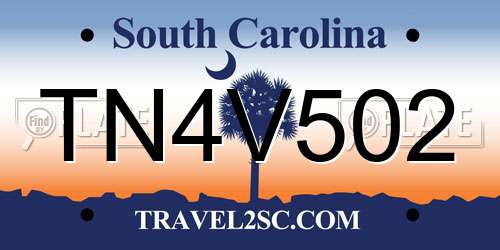 TN4V502 South Carolina License Plate