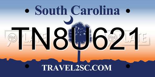 TN8U621 South Carolina License Plate