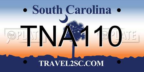 TNA110 South Carolina License Plate