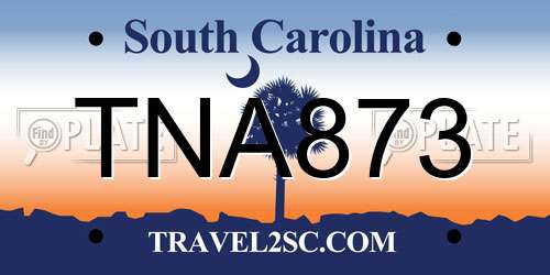TNA873 South Carolina License Plate