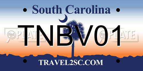 TNBV01 South Carolina License Plate