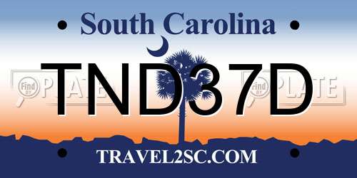 TND37D South Carolina License Plate