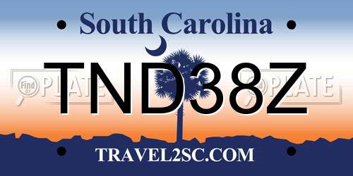 TND38Z South Carolina License Plate