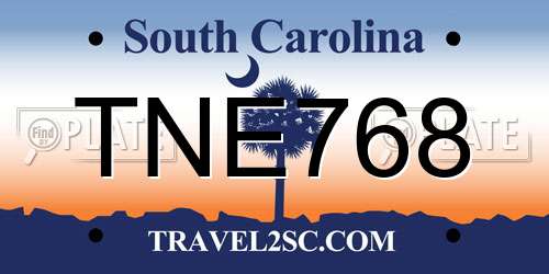 TNE768 South Carolina License Plate