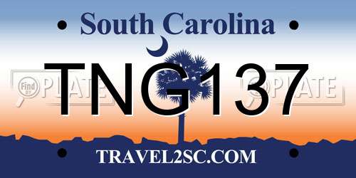 TNG137 South Carolina License Plate