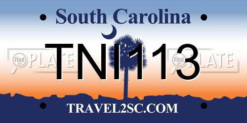 TNI113 South Carolina License Plate