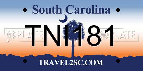TNI181 South Carolina License Plate