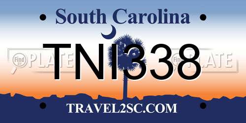 TNI338 South Carolina License Plate