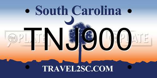 TNJ900 South Carolina License Plate