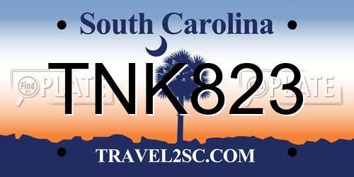TNK823 South Carolina License Plate