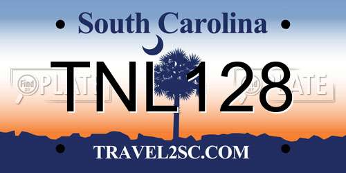 TNL128 South Carolina License Plate