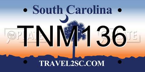 TNM136 South Carolina License Plate
