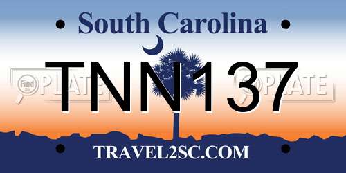 TNN137 South Carolina License Plate