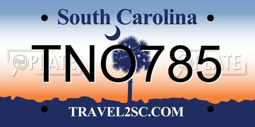 TNO785 South Carolina License Plate