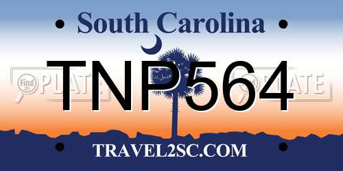 TNP564 South Carolina License Plate