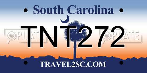 TNT272 South Carolina License Plate