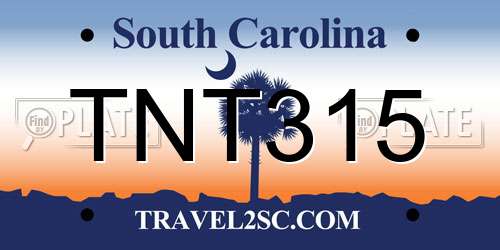 TNT315 South Carolina License Plate