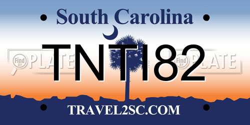 TNTI82 South Carolina License Plate