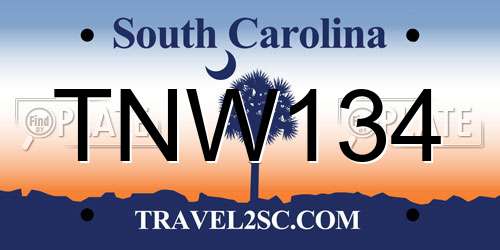 TNW134 South Carolina License Plate