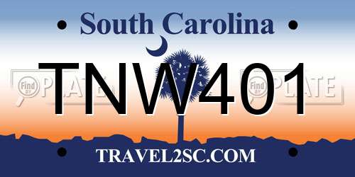 TNW401 South Carolina License Plate
