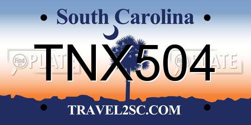 TNX504 South Carolina License Plate