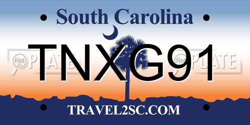 TNXG91 South Carolina License Plate